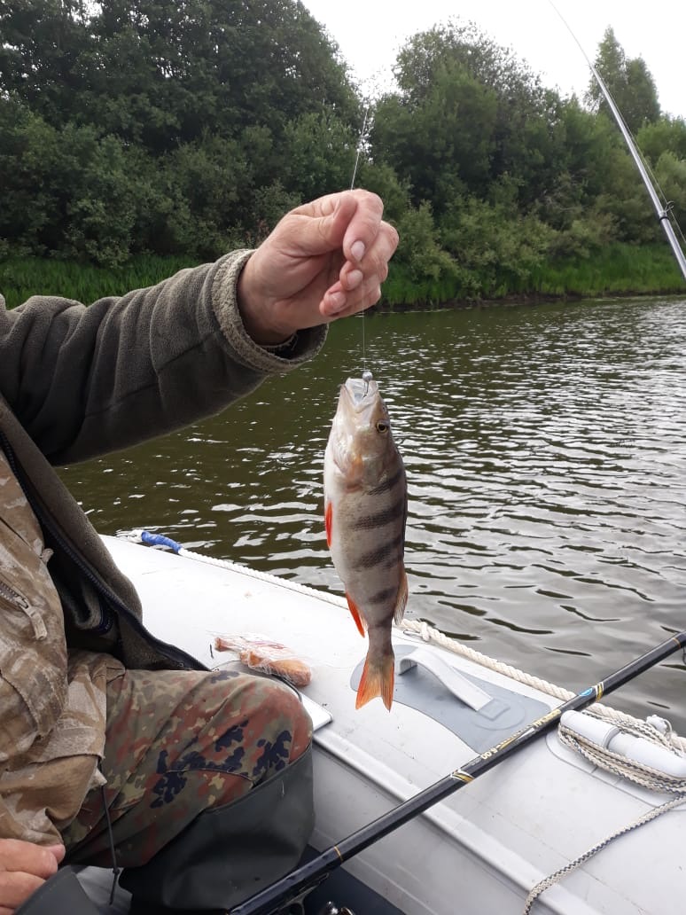 bass2